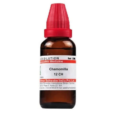 https://cdn.shopify.com/s/files/1/1857/6931/products/K24OP6Db1Z.jpg?v=1641294882